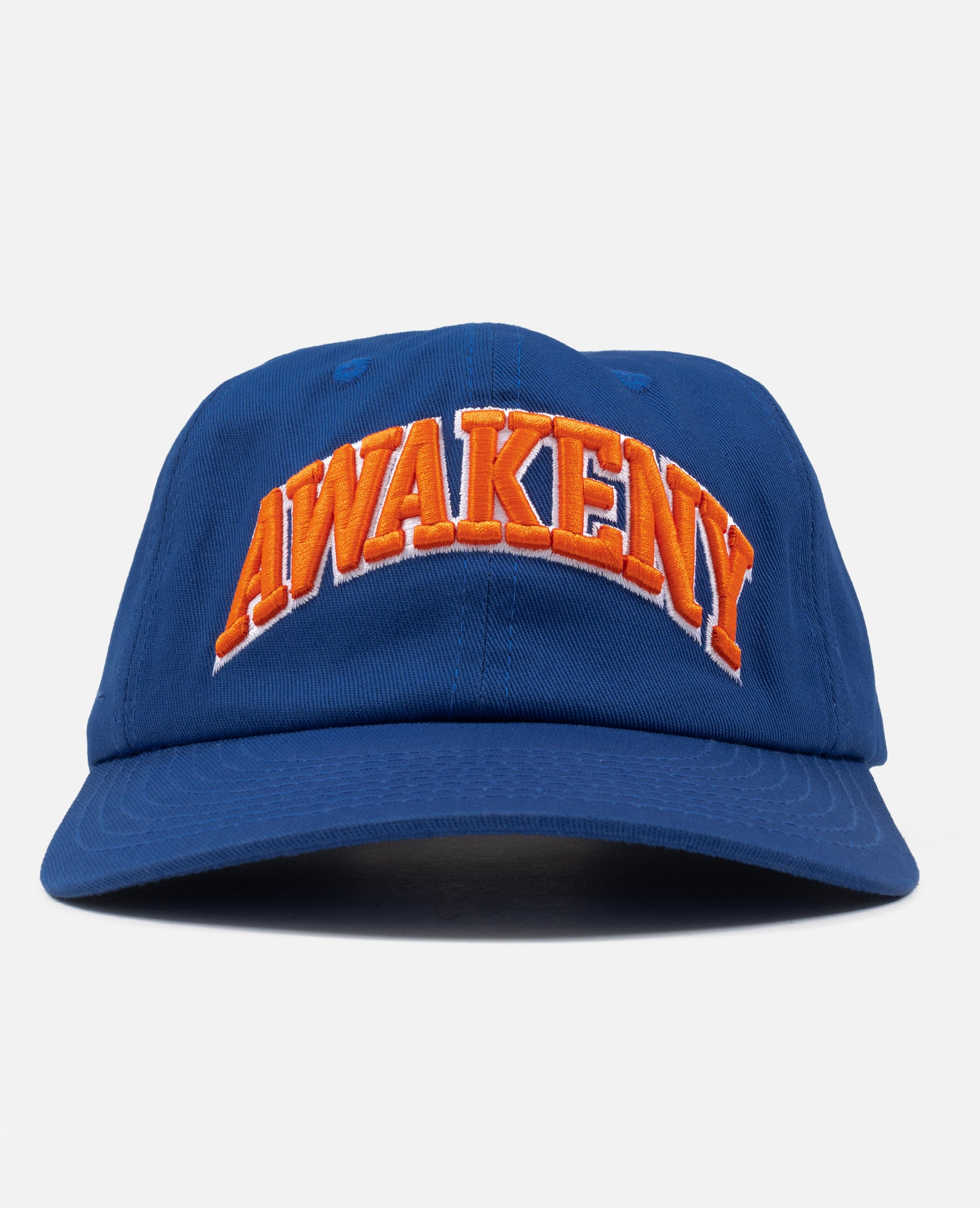 Awake NY 6 Panel Hat (Blue)