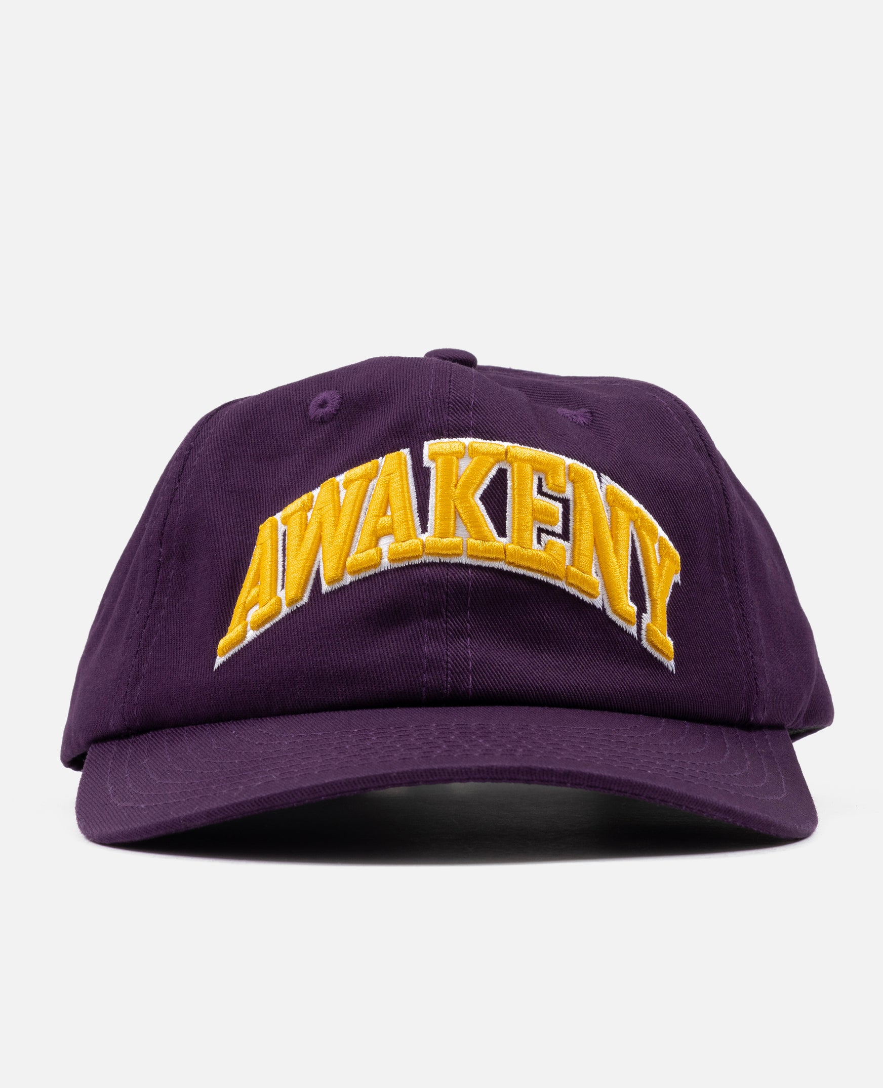 Awake NY 6 Panel Hat (Purple)