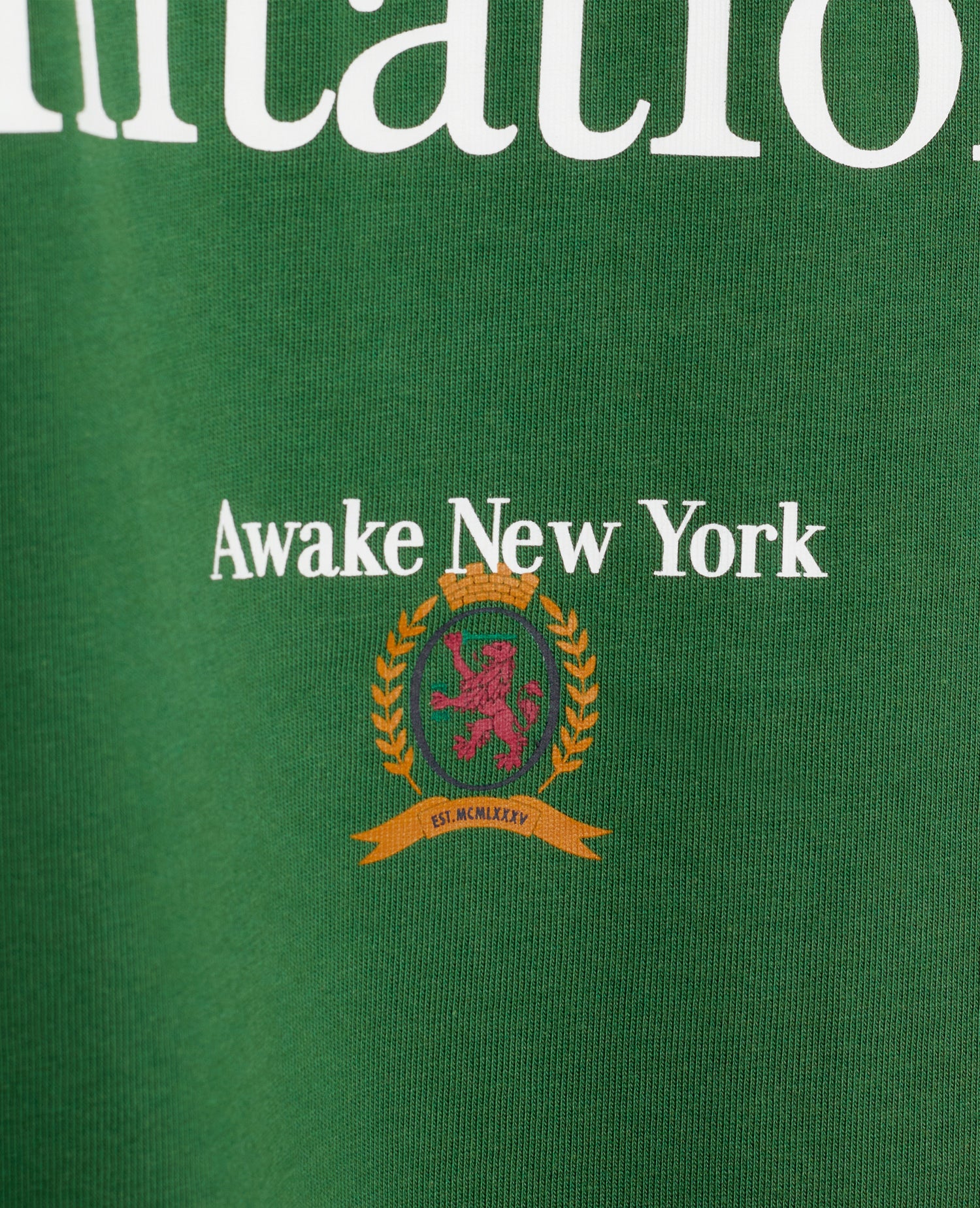T-shirt Tommy X Awake Flag (vert aviateur)