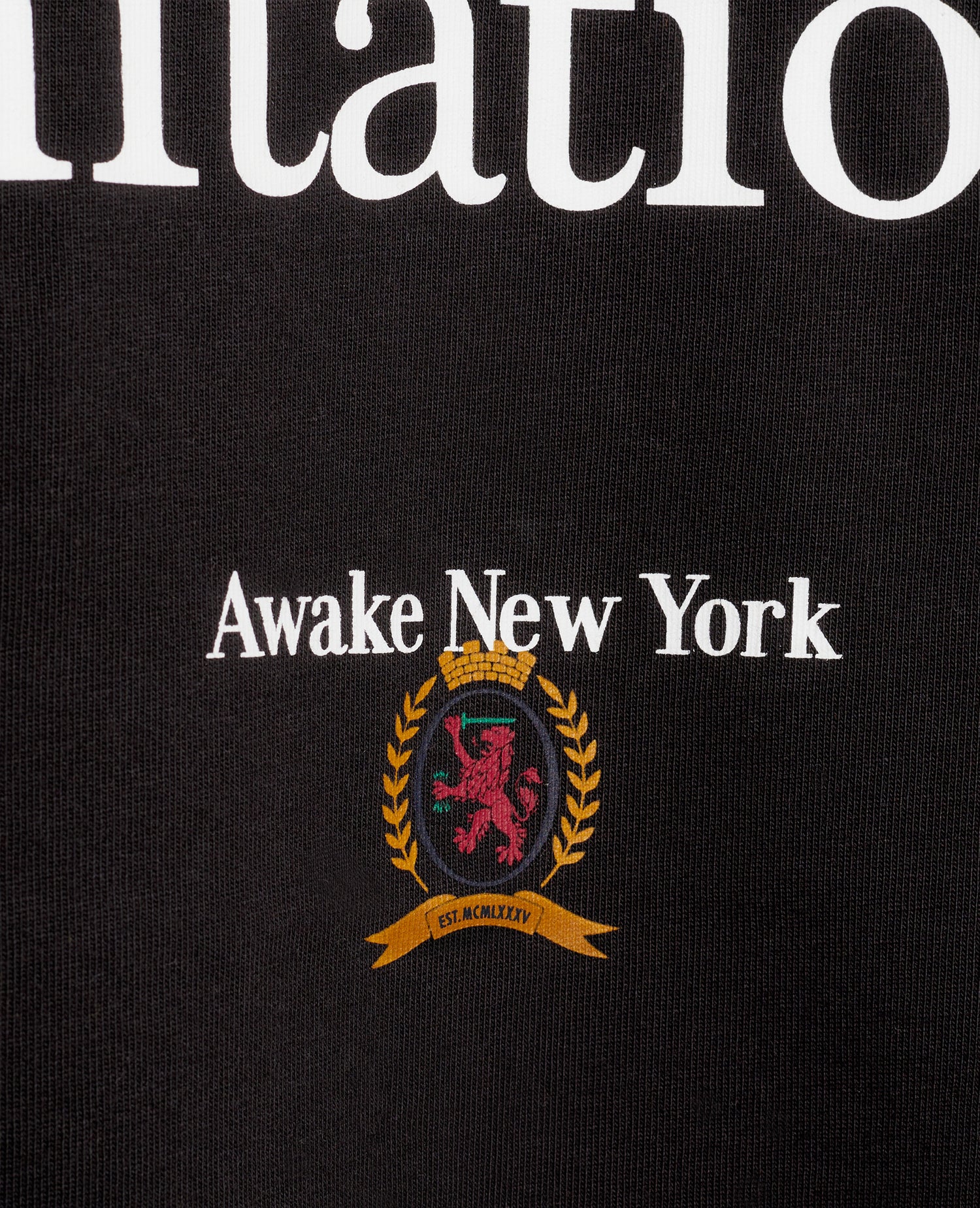 T-shirt drapeau Tommy X Awake (noir)